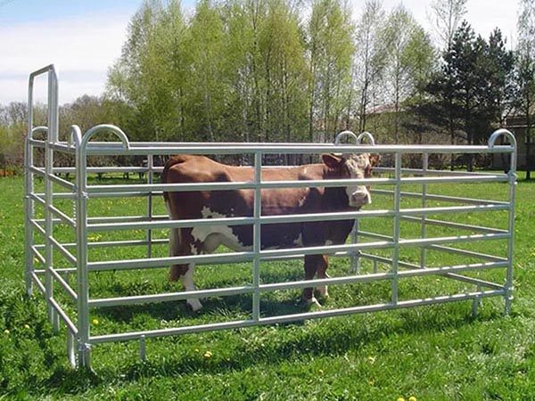 Galvanized livestock metal guardrail plate